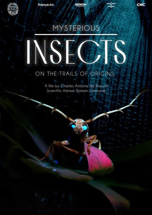 Mysterious Origins of Insects poster