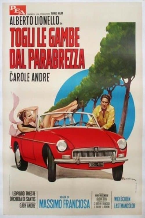 Togli le gambe dal parabrezza poster