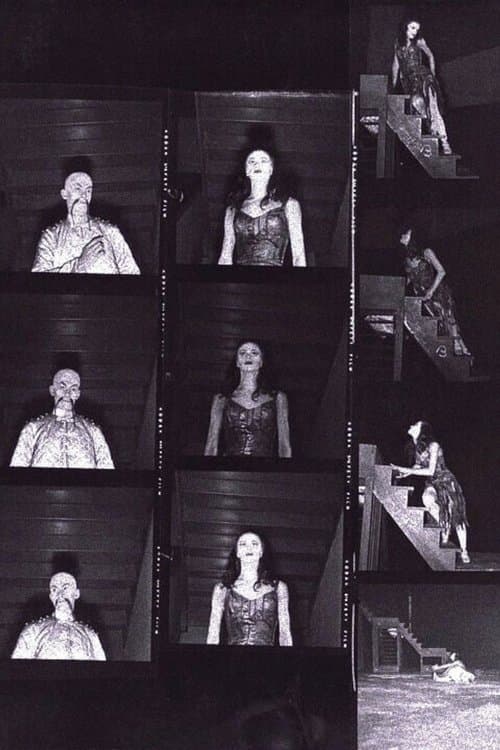 The Miraculous Mandarin poster