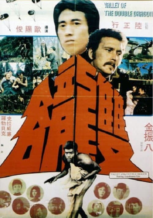 Valley of the Double Dragon poster