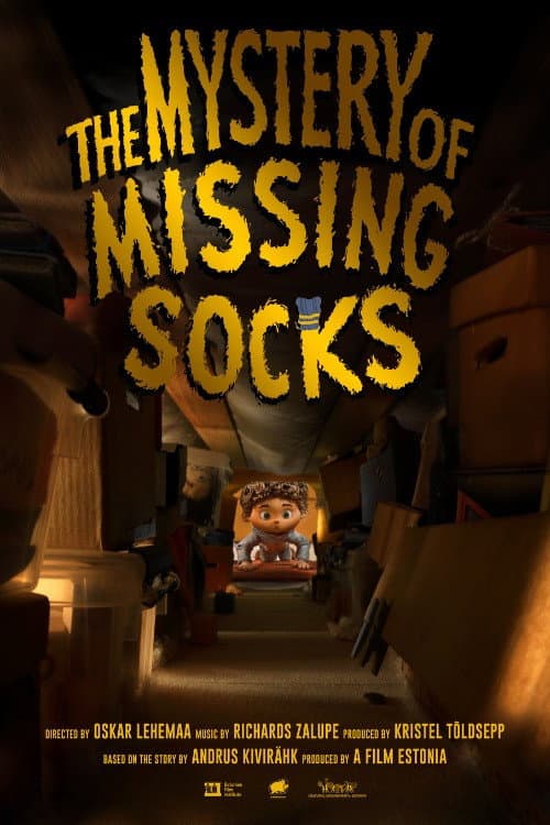 The Mystery of Missing Socks poster