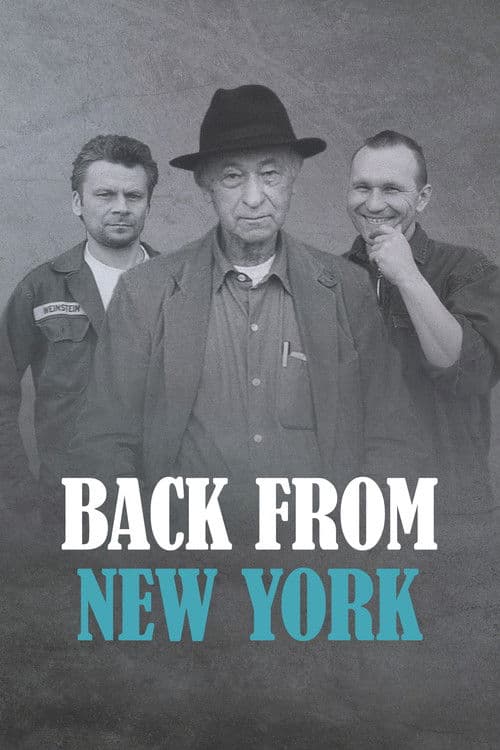 Back from New York poster