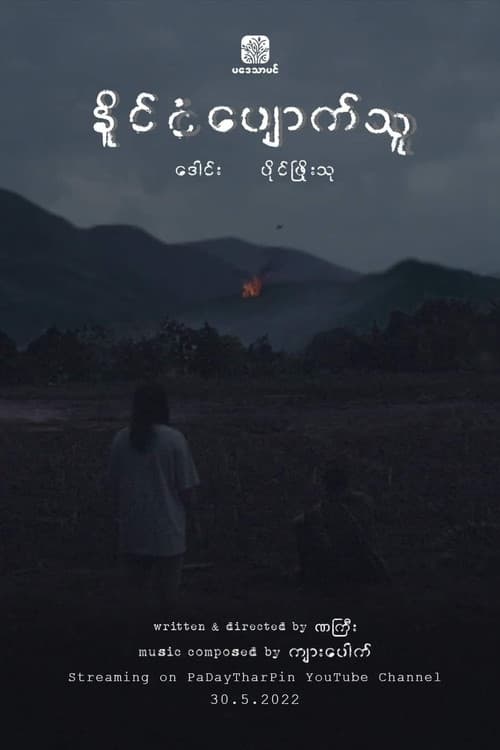 My Lost Nation poster