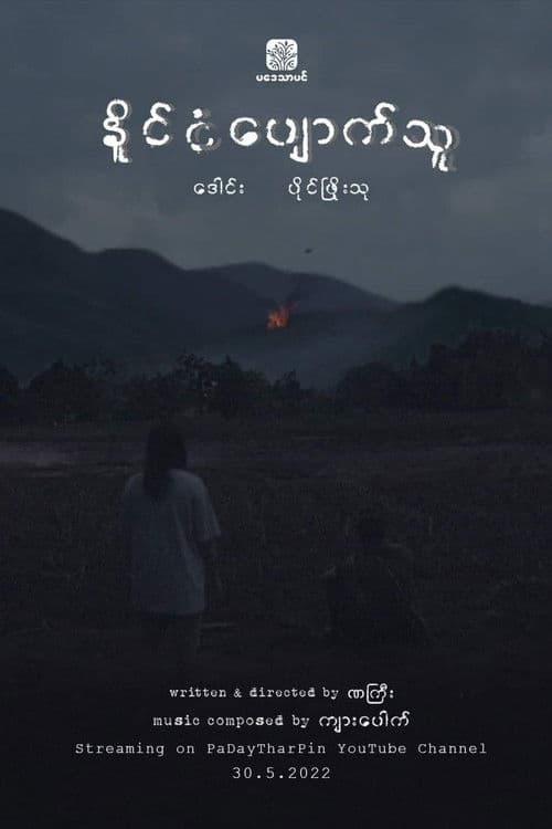 My Lost Nation poster