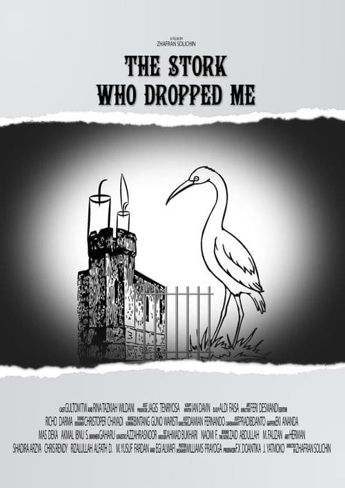 The Stork Who Dropped Me poster