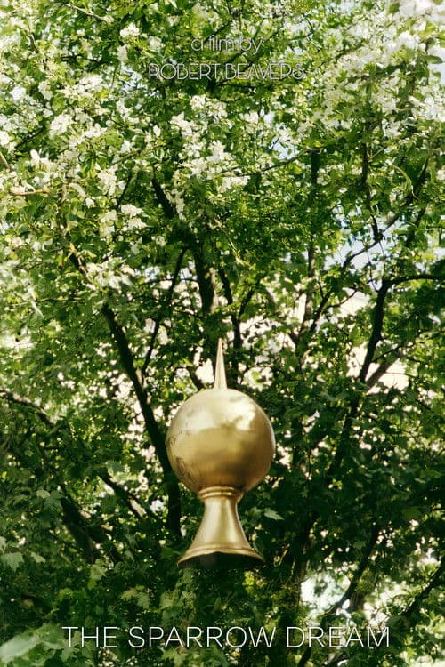 The Sparrow Dream poster