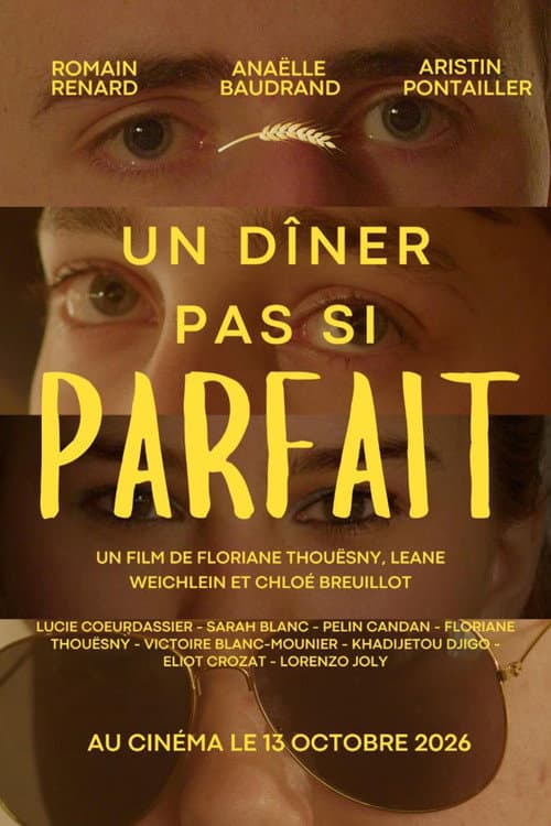 Un dîner pas si parfait poster