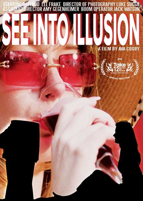 See Into Illusion poster