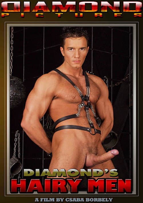 Diamond's Hairy Men 2 poster