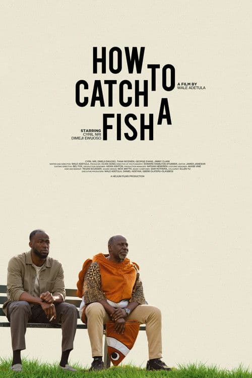 How to Catch a Fish poster