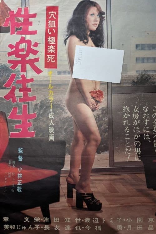 Sexual Pleasure poster