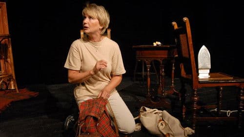 Můj báječný rozvod poster