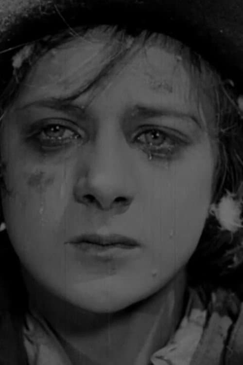 Nicolas Roudenko profile photo