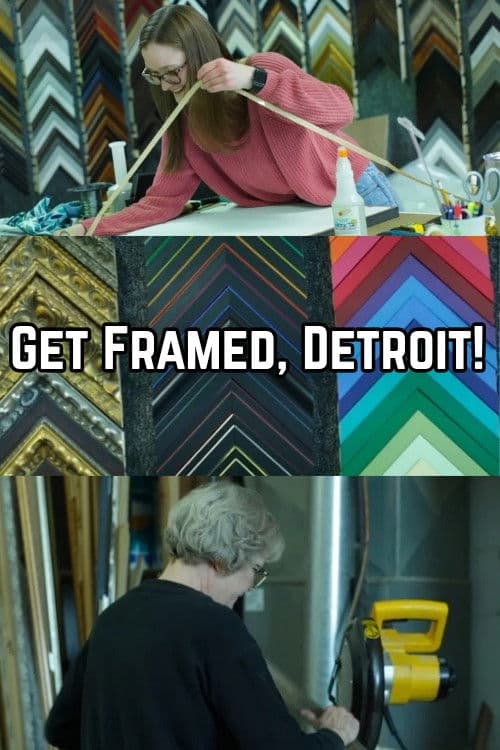 Get Framed, Detroit! poster