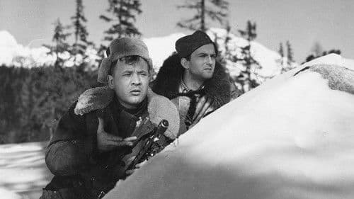 White Darkness poster