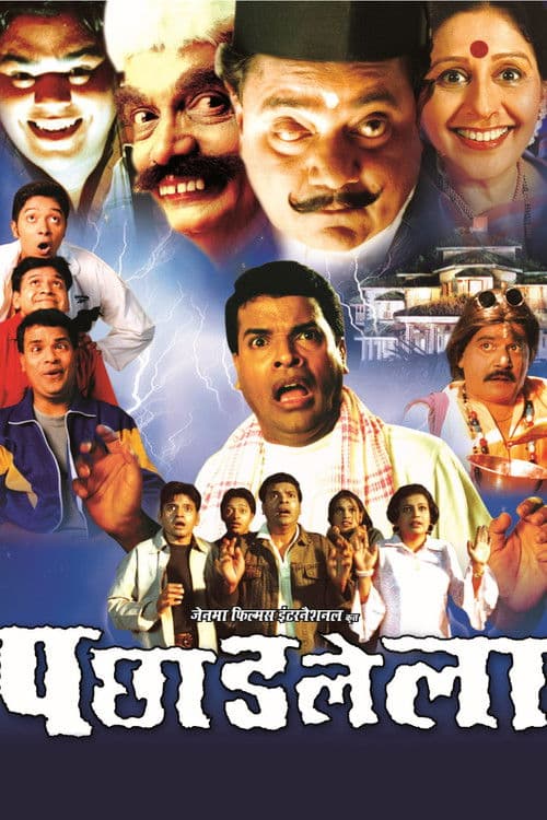 Pachhadlela poster