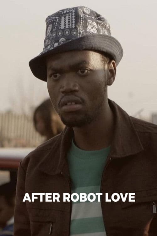 After Robot Love poster