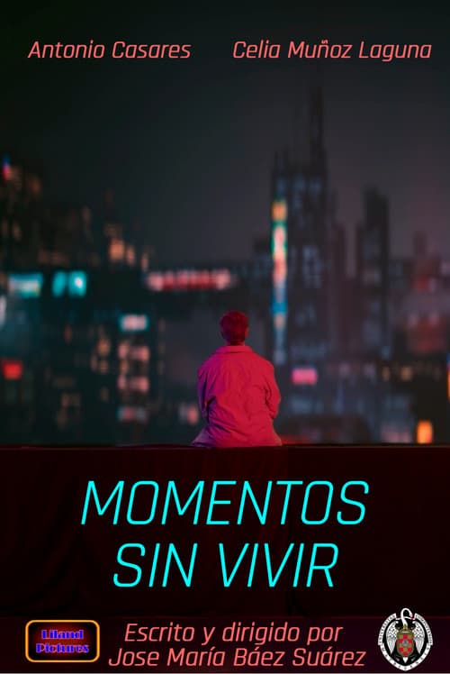 Moments never lived poster