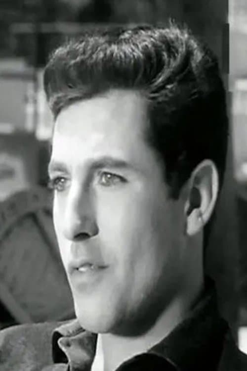 Amr El Torgoman profile photo