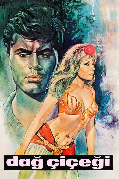 Dağ Çiçeği poster