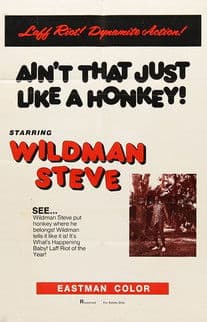 Ain't That Just Like a Honkey! poster