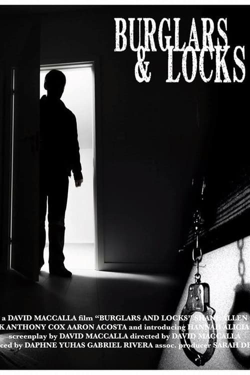 Burglars & Locks poster