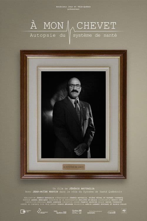 At my bedside: an autopsy of the healthcare system poster