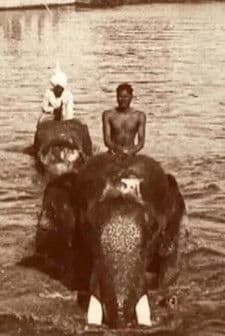 Edward Prince of Wales' Tour of India: Indore, Bhopal, Gwalior and Delhi poster