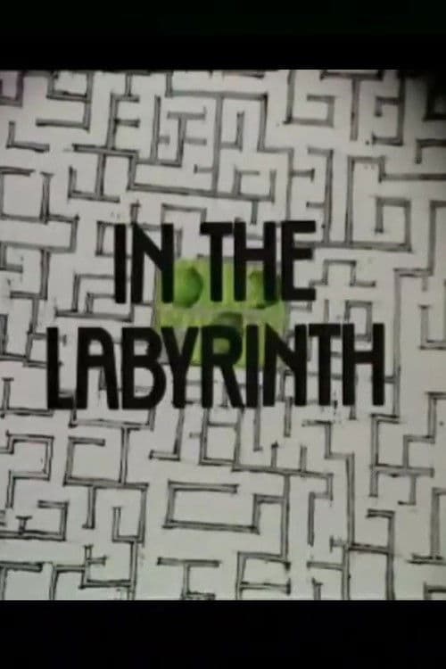 In the Labyrinth poster