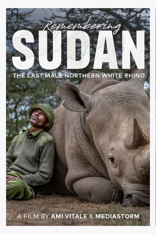 Remembering Sudan poster