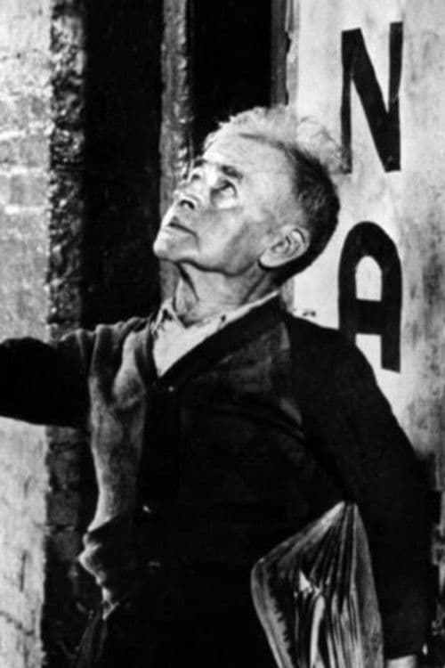 Pat Walshe profile photo