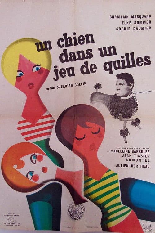 Un chien dans un jeu de quilles poster