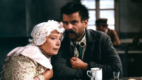 O hloupé havířce poster