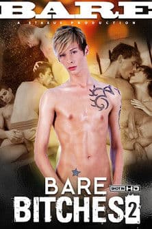 Bare Bitches 2 poster