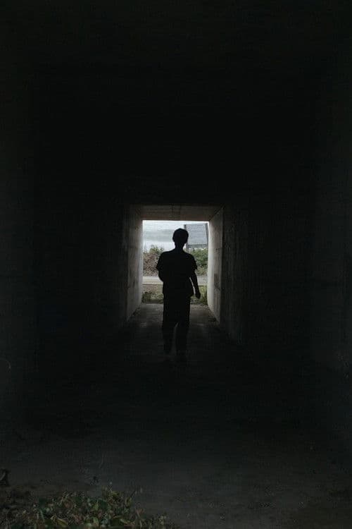 にびさびの巣 poster