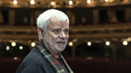 Lásky Petra Štěpánka poster