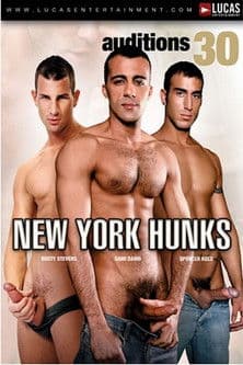 Auditions 30: New York Hunks poster