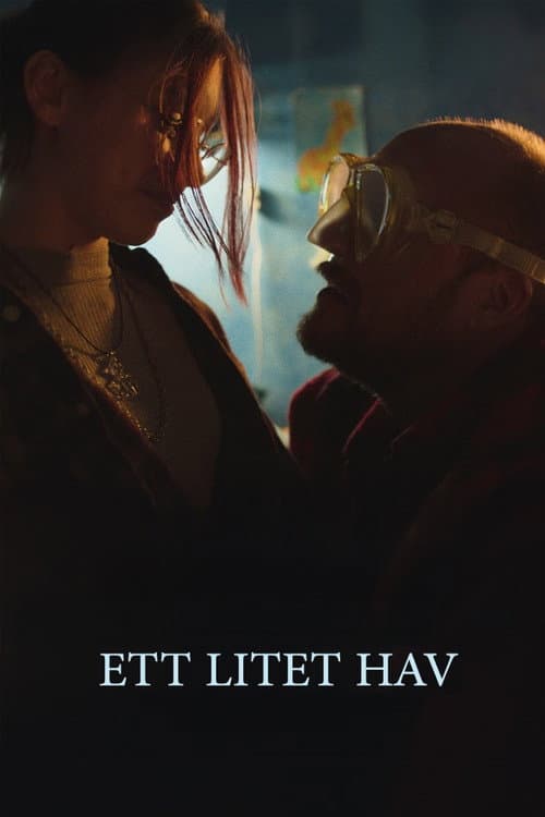 Ett litet hav poster