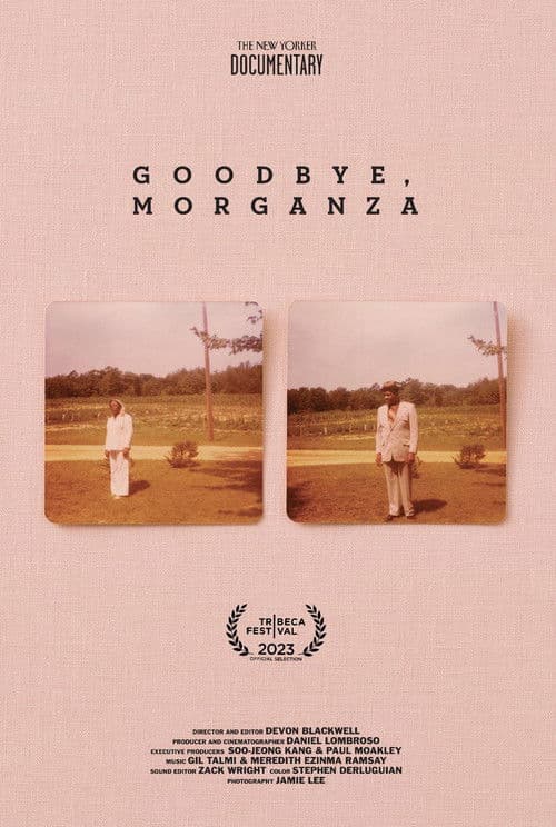 Goodbye, Morganza poster