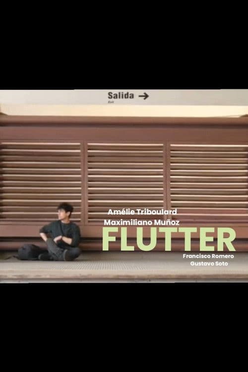 Flutter poster