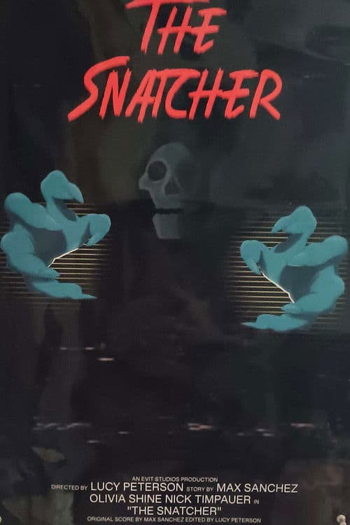 The Snatcher poster