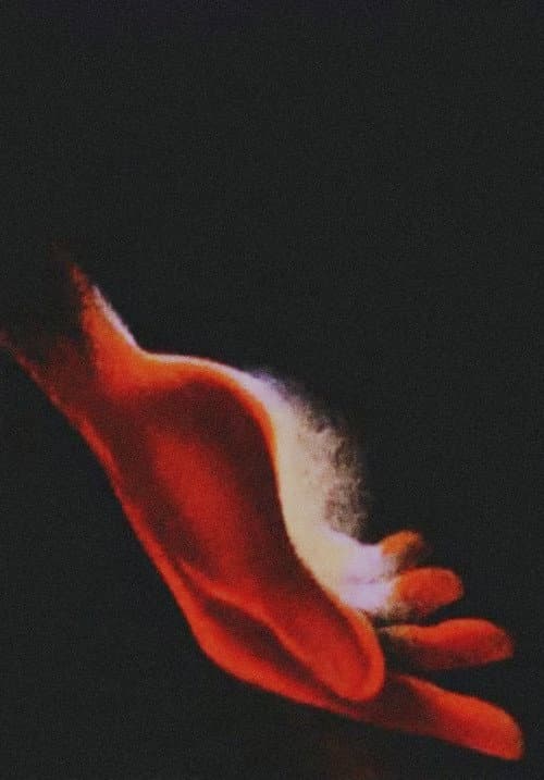 Chopin poster