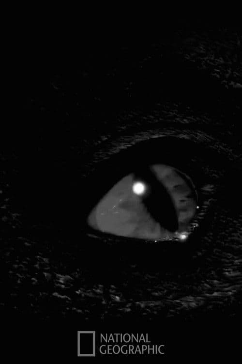 Prehistoric Monsters Revealed poster