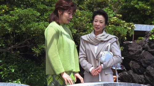 姑は名探偵芹澤雅子　八丈島南国リゾート殺人事件 poster