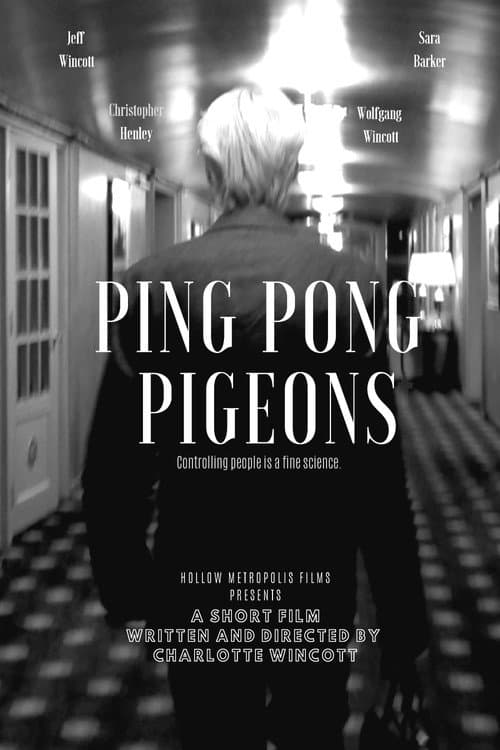 Ping Pong Pigeons poster