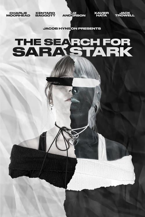 The Search for Sara Stark poster
