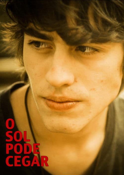 The Sun Can Blind poster