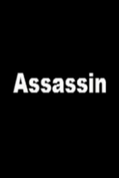 Assassin poster