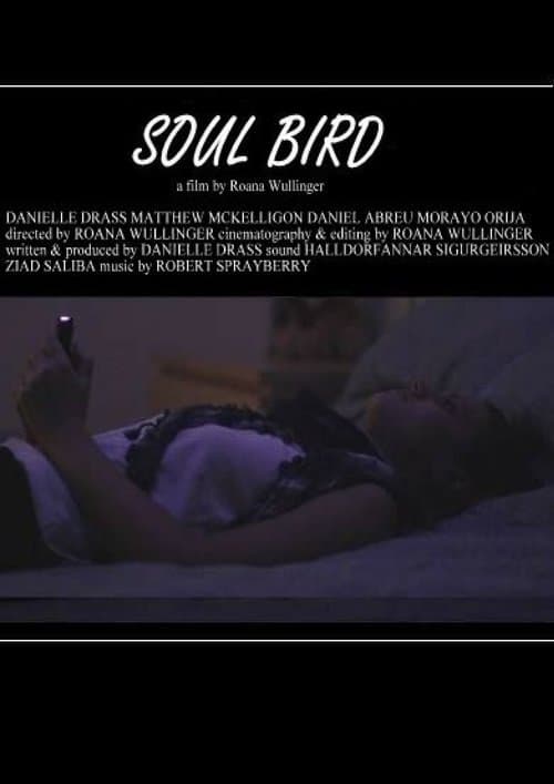 Soul Bird poster