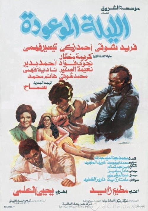 The promised night poster